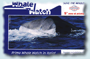 WHALE WATCH
